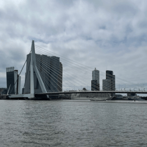 Erasmusbrug