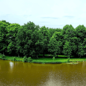 Ravelijn Nieuw Molen Oud Molen